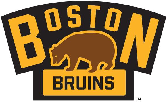 Boston Bruins 2016 Event Logo t shirts iron on transfers
